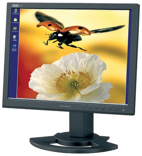 Festplatten: Sharp LL-T1620B 16-Zoll LCD-Monitor schwarz (integr. Lautsprecher, DVI)