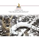 CD Cover Art
