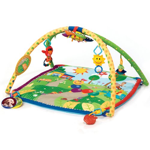 Baby Einstein Play Gym