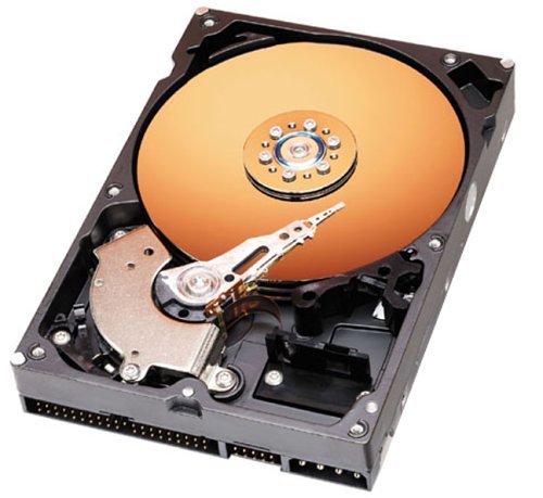 TFT Monitore: Western Digital WD800JB 80GB Festplatte ATA100 7200RPM 8MB Cache