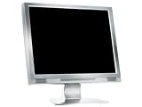 Navigationssysteme: Iiyama Pro Lite E380S 15-Zoll TFT-Monitor (wei�/beige)