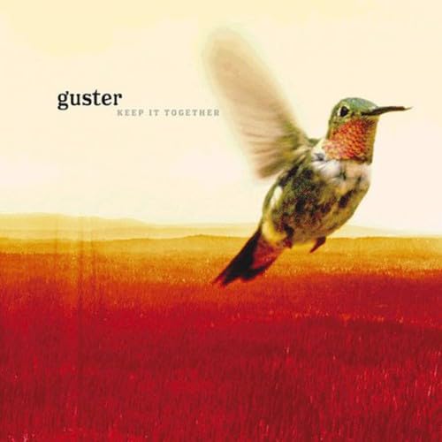 Guster - Guster On Ice Live From Portland, Maine - Zortam Music