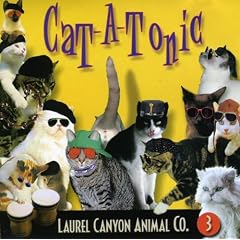 Cat-a-tonic