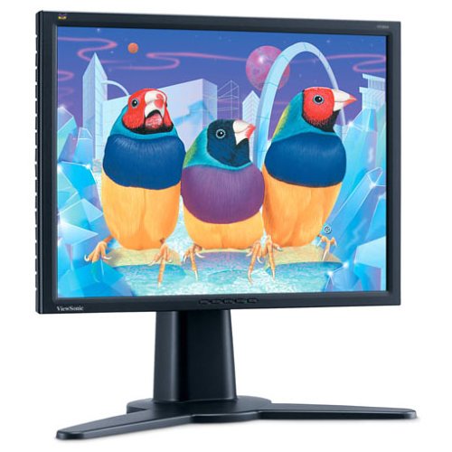 Verstaerker Und Receiver: ViewSonic VP201B 20-Zoll TFT-Monitor schwarz/anthrazit (DVI, Pivot)