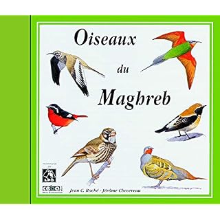 CD Cover Art