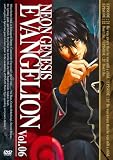 NEON GENESIS EVANGELION vol.06