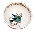 Portmeirion Birds of Britain Earthenware Salad Bowl