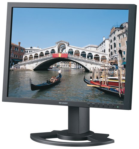 Festplatten: Sharp LL-T2020H 20-Zoll TFT-Monitor schwarz (DVI)