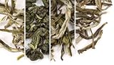 Green Teas Sampler, 6 tins