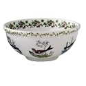 Portmeirion Birds of Britain Earthenware Salad Bowl