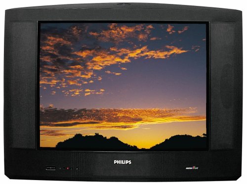 Projektoren: Philips 29 PT 9005 4:3 Format 100 Hertz Fernseher