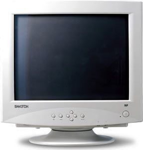 Festplatten: Samtron 95P PLUS 19 Zoll CRT-Monitor