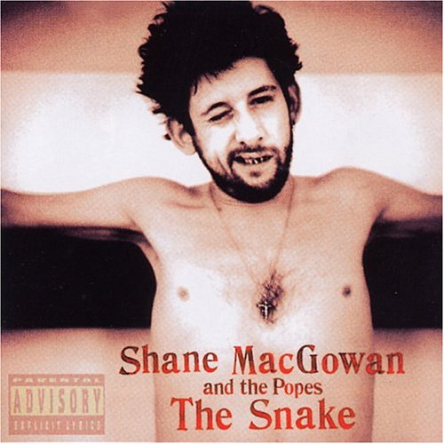 Shane MacGowan & the Popes - Trees Lounge - Zortam Music