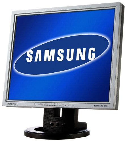 Festplatten: Samsung 193T MM 19-Zoll TFT-Monitor (integr. Lautsprecher, DVI)