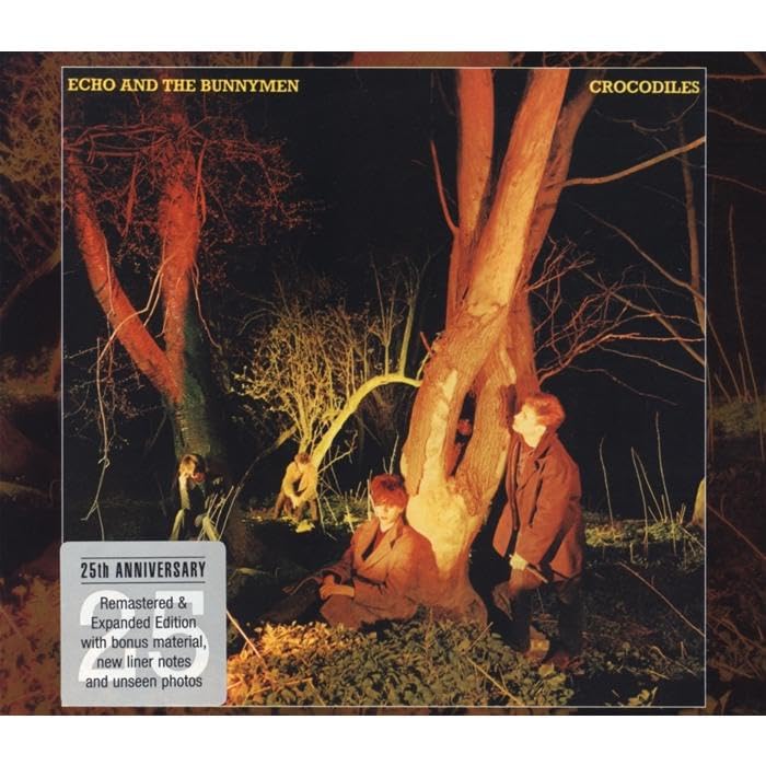 Echo & the Bunnymen - Crocodiles - Zortam Music