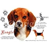 Beagle Youth Sweatshirt