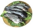 Fresh Rainbow Trout