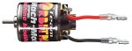Camcorder: Carson Truck-Spezial-E-Motor