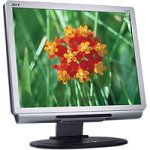Elektronik und Foto: Acer AL2021M 20-Zoll TFT-Monitor (DVI, integr. Lautsprecher)
