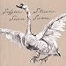 Seven Swans