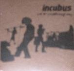 Incubus - Live At Lollapalooza - Zortam Music