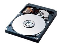 Festplatten: Samsung 40 GB SP-0411N U-DMA 133 7.200 rpm 2MB Cache interne Festplatte IDE Bulk