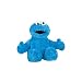 Sesame Street Plush Cookie Monster 12