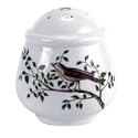Portmeirion Birds of Britain Earthenware Salt and Pepper Set