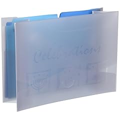 Greeting Card Planner & Organizer - (Clear/Blue)