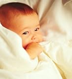 All Seasons Baby Cot Comforter