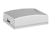 Notebooks: NetGear USB Printserver