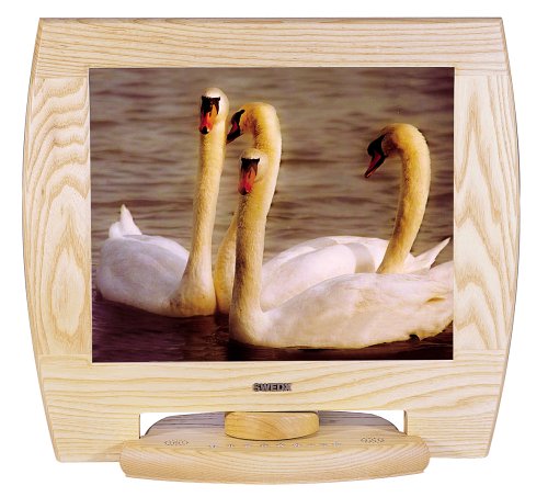 Festplatten: SWEDX XV1-19AV-AS1 Swedx 19" TFT LCD Monitor, Esche