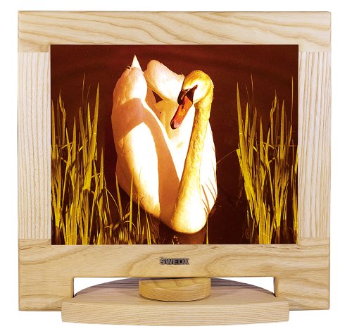 Festplatten: SWEDX XV1-17-AS1 Swedx 17" TFT LCD Monitor, Esche