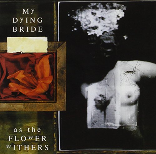 As The Flower Withers
