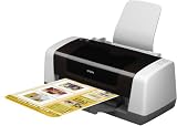 Epson Stylus C46 Inkjet Printer