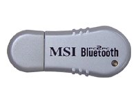 MP3 Player: MSI BToes Funk-LAN Adapter USB Bluetooth 2.4 GHz Dongle Class I