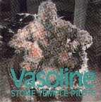 Stone Temple Pilots - Vasoline - Zortam Music