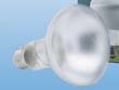 Festplatten: Sylvania Reflektor E27 40 Watt R80 15570