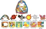 Playnest & Gym with Multi-Sensory Features