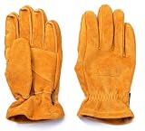 Coleman(コールマン) ソリッドレザーグローブ(L) 170-9024L