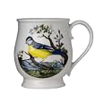 Portmeirion Birds of Britain Earthenware Bristol Mug