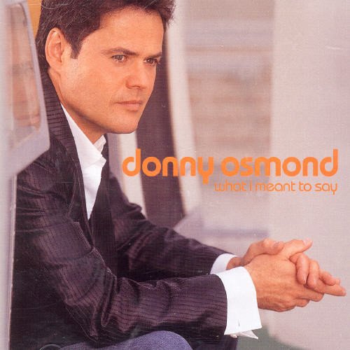 Donny Osmond - What I Meant To Say Lyrics - Zortam Music