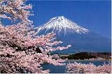 1000ピース 桜咲く富士山(静岡) RS-13-273