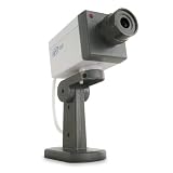 SVAT ISC100 Indoor Imitation Security Camera w/Motion Detection and Blinking LED