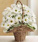 Basket Full Of Daisies
