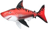 Rainbow Reef Battle Shark Asst.