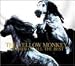 MOTHER OF ALL THE BEST - THE YELLOW MONKEY