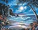 PaintWorks - Moonlit Paradise Paint-by-Number Kit