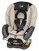 Evenflo Triumph Deluxe Convertible Car Seat Fairview