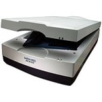 MP3 Player: Microtek ScanMaker 9800 XL HDR Scanner A3 1600x3200dpi color SCSI2/FireWire/USB1.1